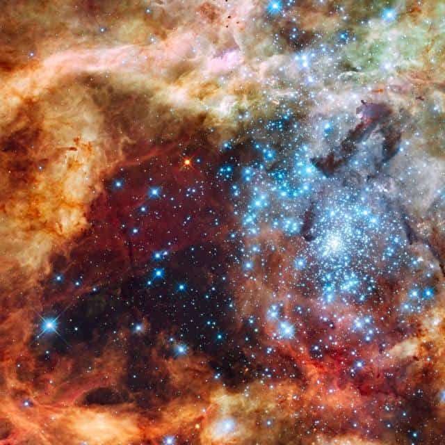 Three-Yr Detect of Younger Stars with NASA’s Hubble Enters Fresh Chapter
