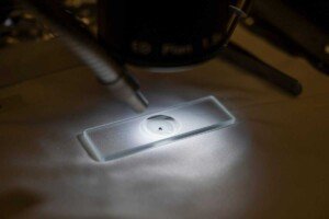 NASA’s OSIRIS-REx Asteroid Sample Is Already Rewriting Solar Procedure Historical past