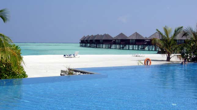 business new tamfitronics Indian tourism to the Maldives faces a boycott.