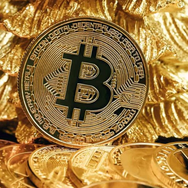 clothing | Start Your Own Clothing Brand: Design, Create & Sell Apparel