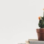 electronic flight bag | Airline Operations: Flight Planning and Flight Dispatch