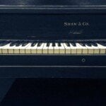 electronic voice phenomenon | Music Theory for Electronic Producers - The Complete Course!