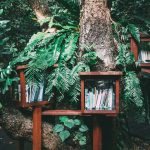 kids books|How to Write a Faith-Based Book