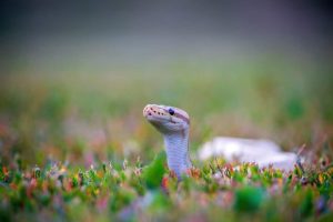 mechanical engineering statics | Python for Mechanical Engineers