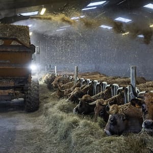 Angry farmers are reshaping Europe