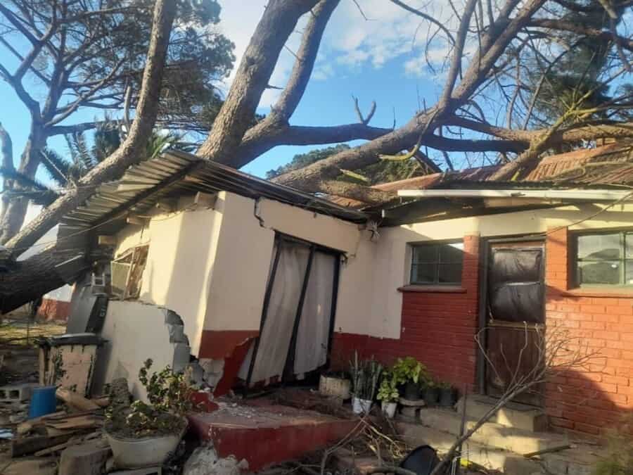 News24 | Cape of storms: Western Cape government says the purpose of interest is on preserving human lives