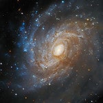 Hubble Dwelling Telescope Appears at Obscured Spiral Galaxy