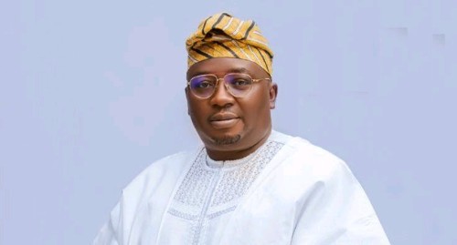 Adelabu To Nigerians: Announcing Nigerians Help Freezers, AC On Due To Low Tariff Used to be A Joke, Please Forgive Me