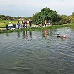 News24 | Two boys drown in dam for the length of faculty time out in Centurion