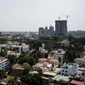 Concrete jungles and Silicon Valleys