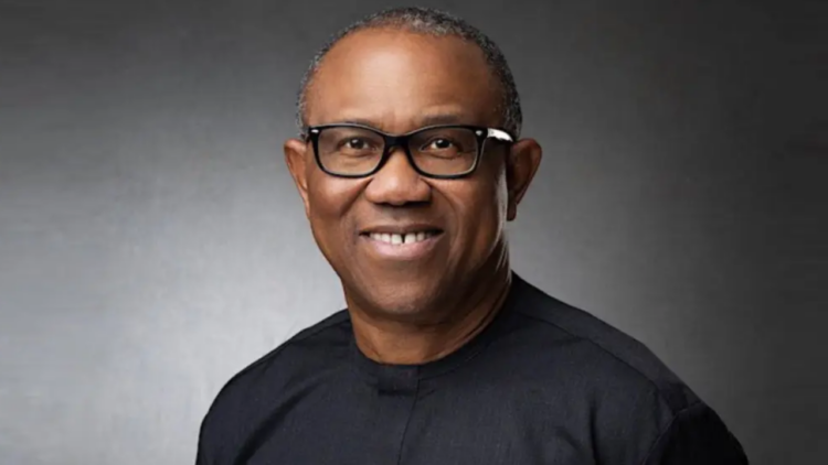 Peter Obi Raises The Terror On Original Plots Against Him – Draw of life Nigeria