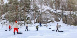 The To find: saving seals with man made snow, and AI’s effects on politics