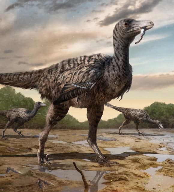 Footprints of Massive Troodontid Dinosaur Existing in China