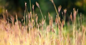 sap plant maintenance project system | Resource Scheduling in SAP PM S4HANA I SAP Plant Maintenance S4HANA 2020 online training