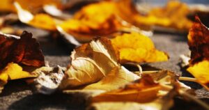 plant maintenance complete configuration | SAP PM Maintenance Planning configuration and process