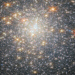Webb Explores Stellar Inhabitants of NGC 6440