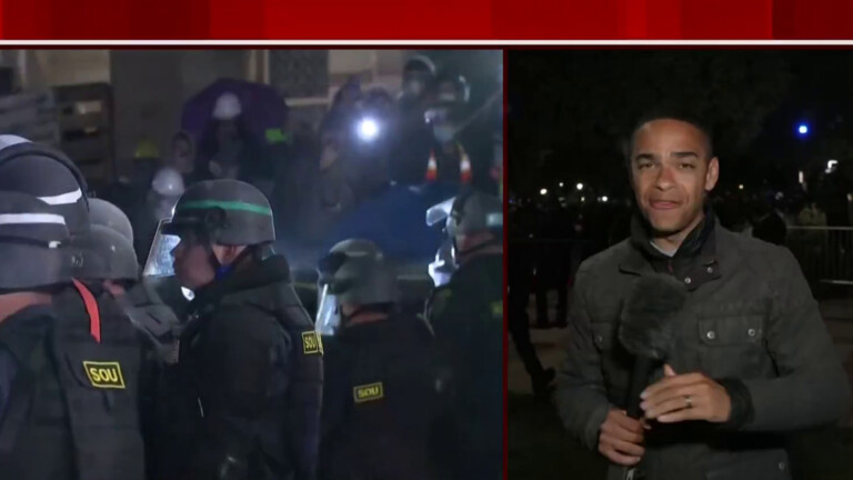 Police detain protesters, smash down UCLA encampment