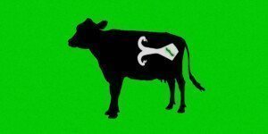 The Download: synthetic cow embryos, and AI jobs of the longer term