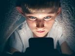 Social media sites might maybe use facial recognition technology to cease children having access to sinful drawl material