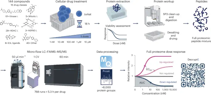 Decrypting the molecular foundation of cell drug phenotypes by dose-resolved expression proteomics