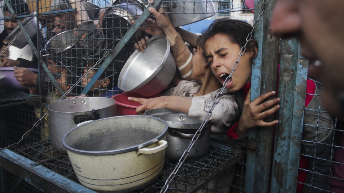 The UN says there is ‘elephantine-blown famine’ in northern Gaza. What does that suggest?