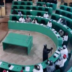 Bichi emirate asks Kano Assembly to reverse new law
