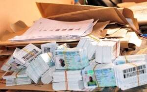BREAKING NEWS: Nigeria no longer needs PVCs for elections –Yiaga Africa