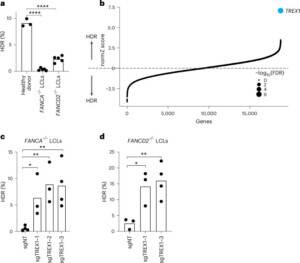 Removal of TREX1 activity enhances CRISPR–Cas9-mediated homologous recombination