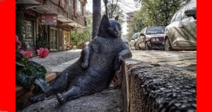 Edo election: ”Oshiomhole’s insensitive comments derailing Okpebholo’s campaign” – APC chieftains tell Tinubu in secret letter