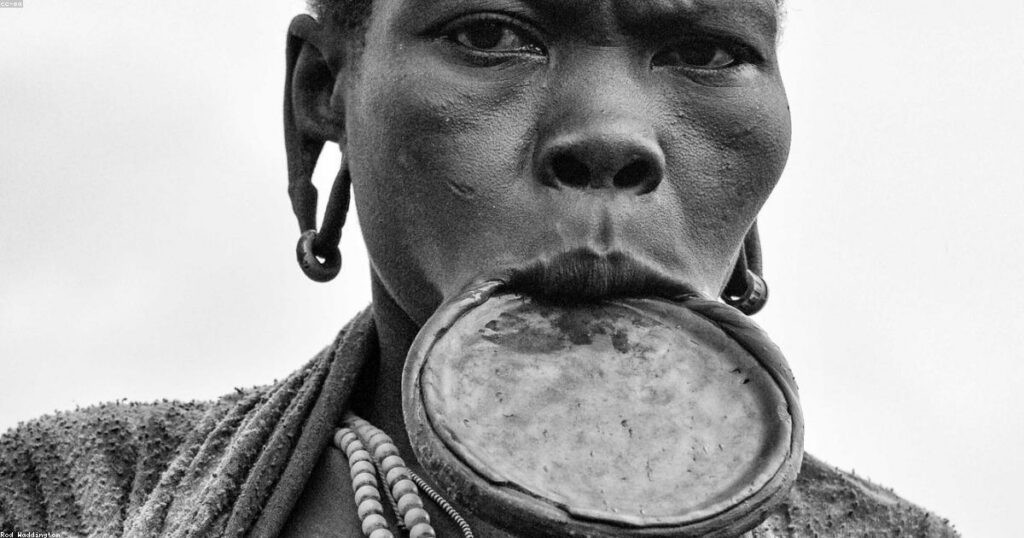 A medley of culture: from the bush war and circumcision to a white girl from Zimbabwe