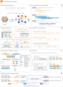 Comprehensive genome analysis and variant detection at scale using DRAGEN