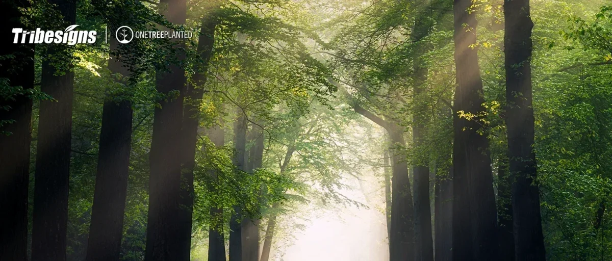 s2c44e071dd26486bbb70dc72bcfb80120.webp