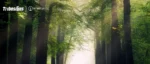 s6fc2b9bada214ae9837b9e7b376830028.webp