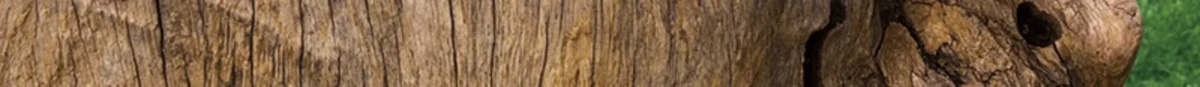 se9dfb9a60bcd4824b5c59decead6c504j.webp