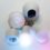 smart home devices bulbs cameras hubs