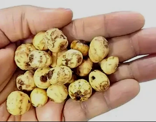 Foods Men Should Consume to Replenish their Sperm Cells/Increase their Sperm Count