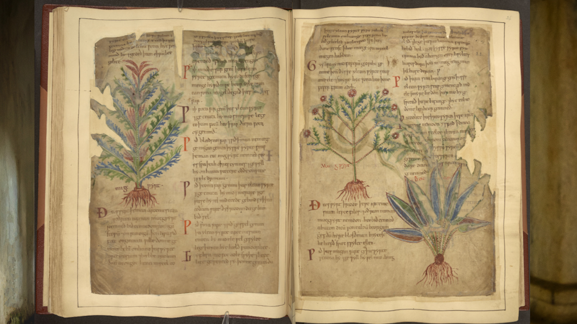 Dark Age detoxes sometimes resembled TikTok health trends