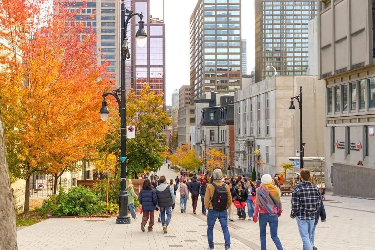 Four Canadian cities named among world’s top 100 for international students in 2026