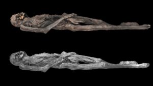 Scientists reconstruct the tattoos of a 2,000-year-old Siberian ice mummy