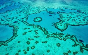 Year after year, alerts have stacked: what humanity lets this jewel of nature is unforgivable