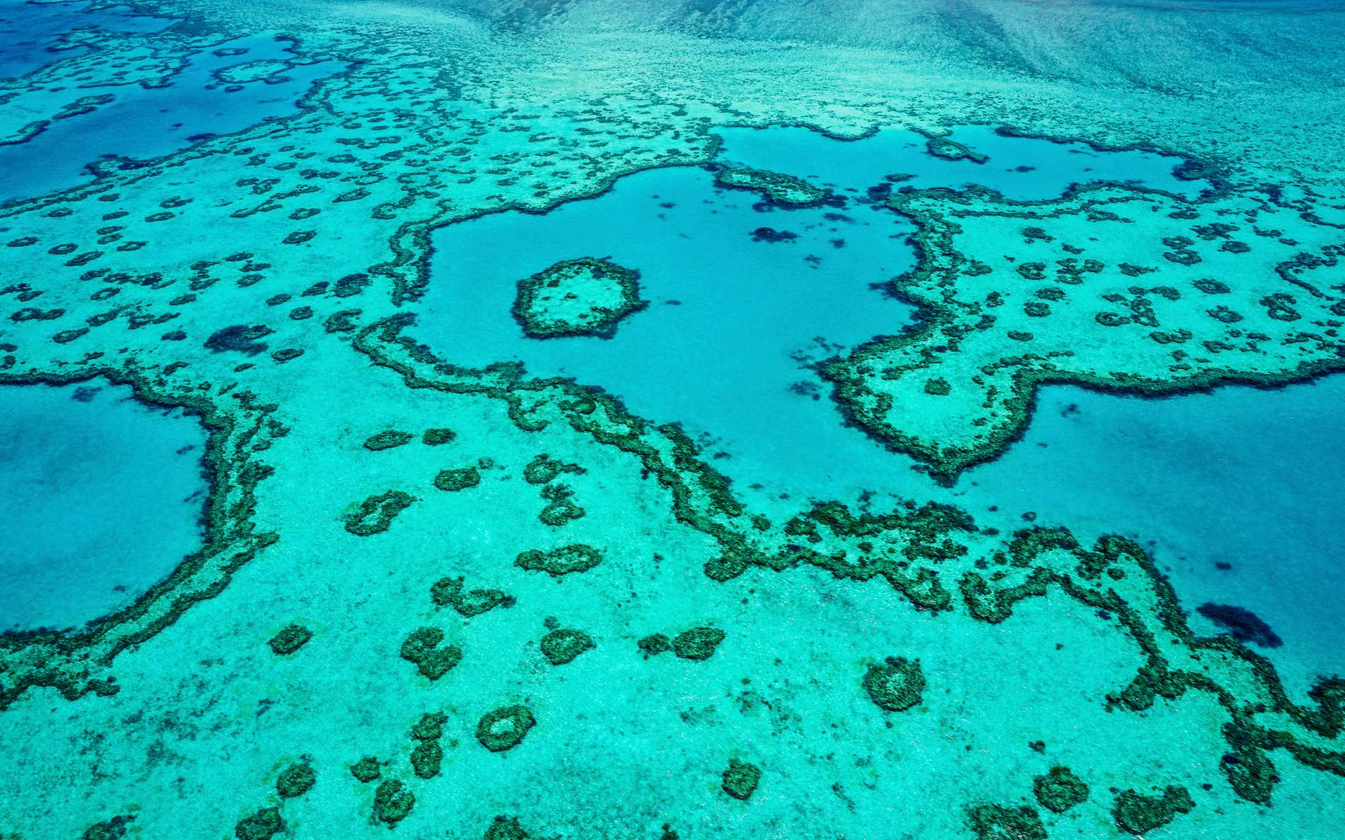 Year after year, alerts have stacked: what humanity lets this jewel of nature is unforgivable