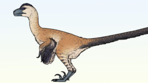 New Bird-Like Dinosaur from Mongolia Had Extremely Robust Hands