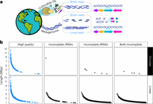 Long-read sequencing and chemical synthesis access previously hidden antibiotics