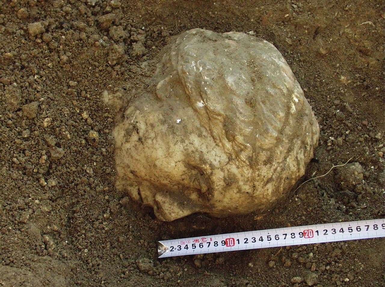The mysterious marble head found in Crimea belonged to a woman who weighed on the fate of her city