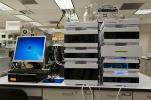 Pest Resistance Threatens New Biotech Corn Defense | Mirage News