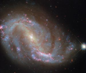 Hubble Sees Dusty Spiral Galaxy: NGC 7496