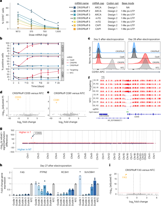 Integrated epigenetic and genetic programming of primary human T cells