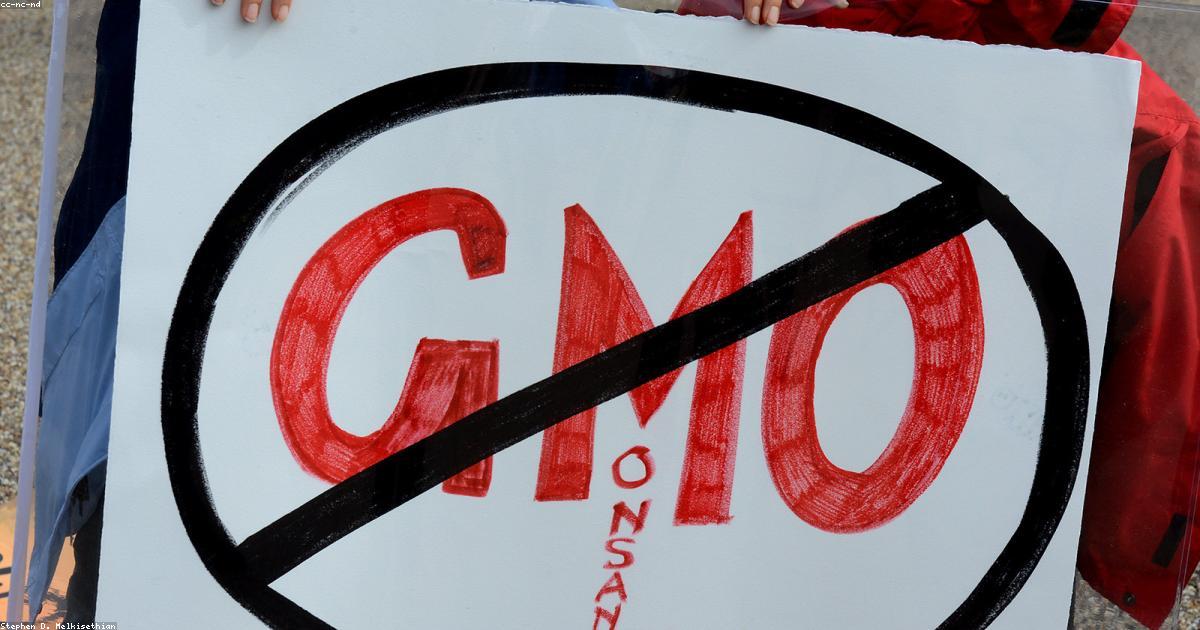 UN Experts Urge Binding Accountability For Agribusiness To Safeguard Peasants' Rights And Global Food Security | Mirage News