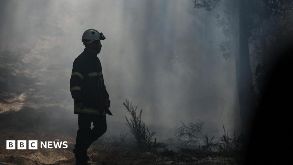 Wildfires Ravage South-West France as Heatwave Threatens to Worsen Crisis