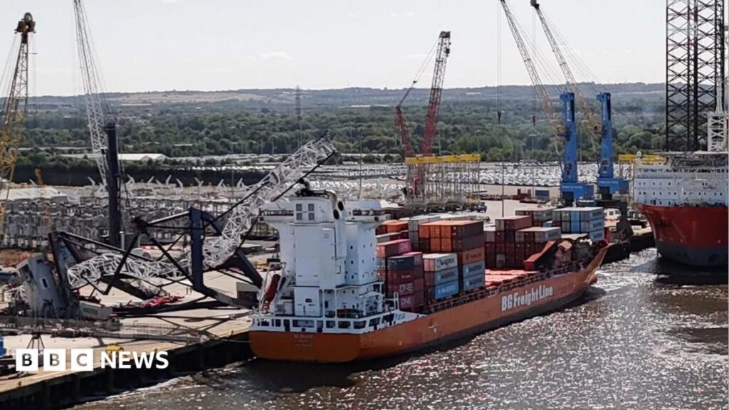 Man injured in dockside crane 'collapse'